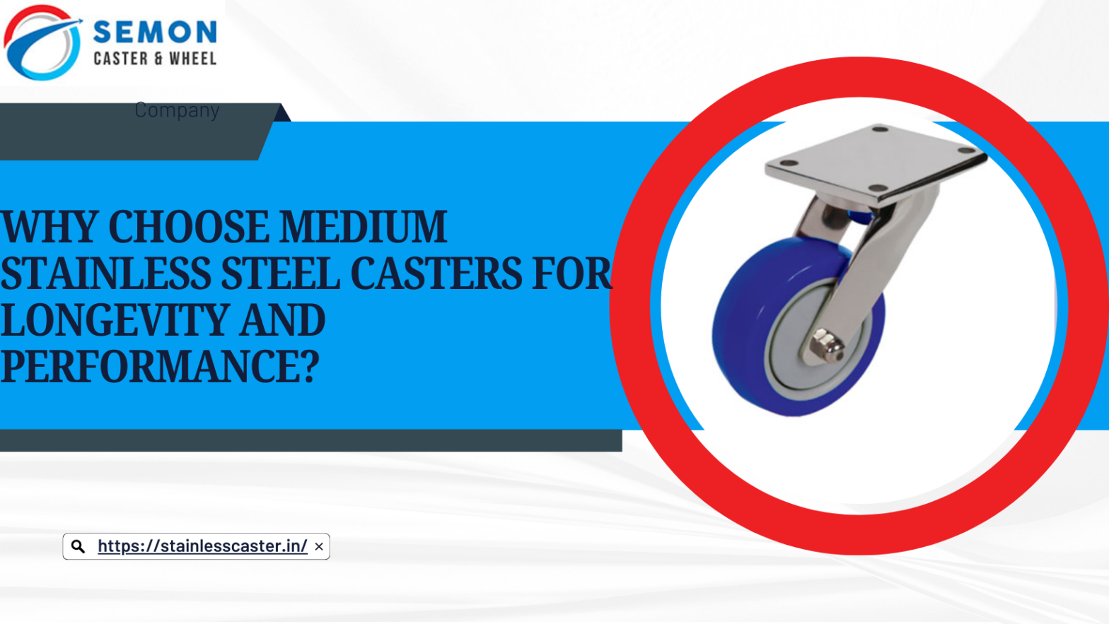 Medium Stainless Steel Casters
